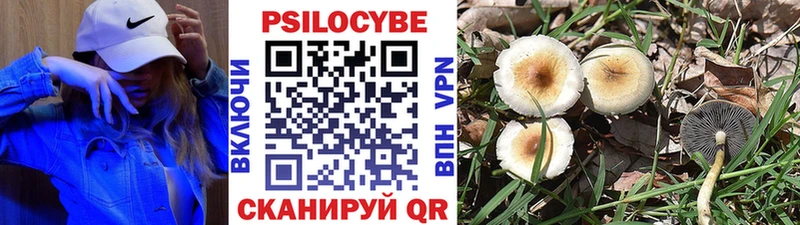 Галлюциногенные грибы MAGIC MUSHROOMS  kraken   Пятигорск 