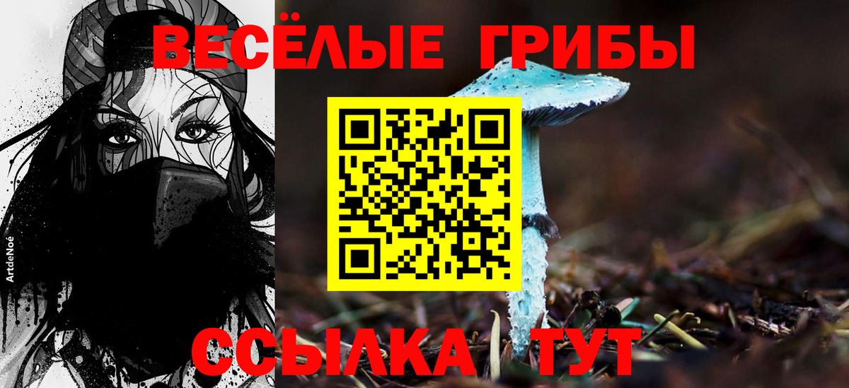 Пятигорск  Псилоцибиновые грибы GOLDEN TEACHER  купить наркотик  Вход с VPN  Галлюциногенные грибы ЛСД 