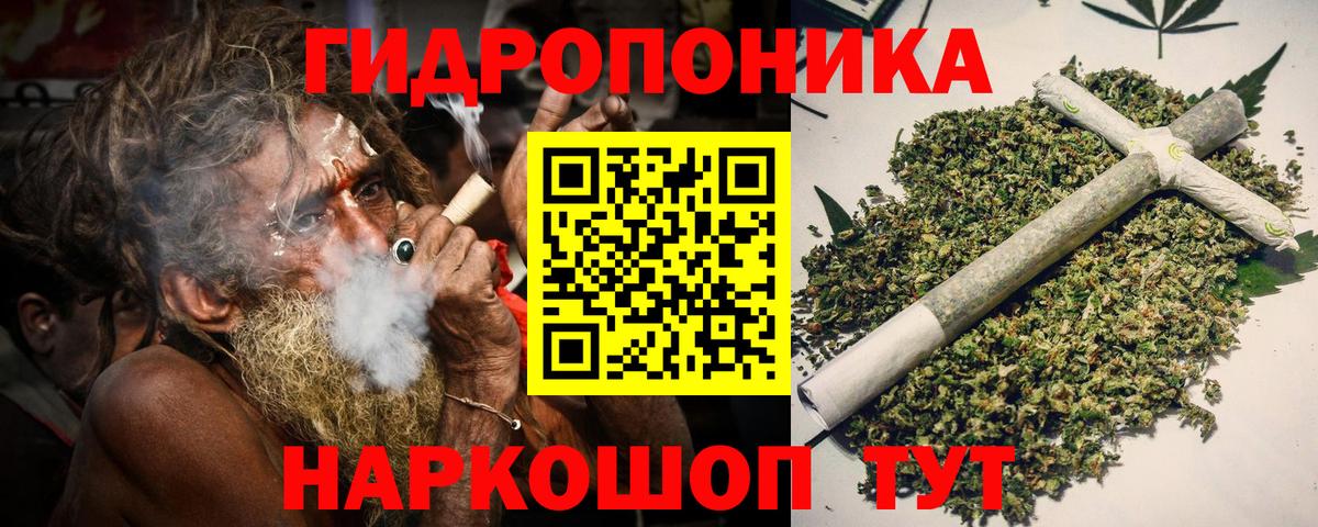 Шишки марихуана OG Kush Пятигорск